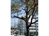お知らせ/146_2s.jpg お知らせ/146_2s.jpg